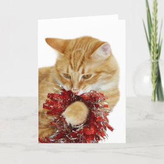 Carte de Noël de Kitty