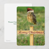 Carte de Noël de la Chevêche des terriers Père Noë (Devant / Derrière)