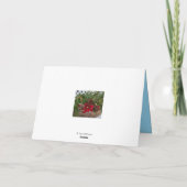 Carte de Noël de la Dame de Neige (Dos)