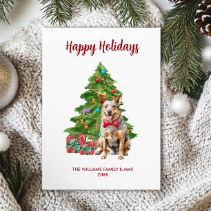 Carte de Noël de la famille avec chien Blue Heeler