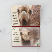 Carte de Noël de la Fête de la Humpe de Camel amus (Intérieur)