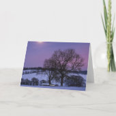 carte de noël de la fête des neiges (Dos)