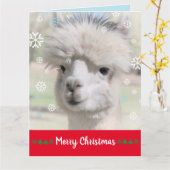 Carte de Noël de l'alpaca enneigé Joyeux Noël (Fleur jaune)
