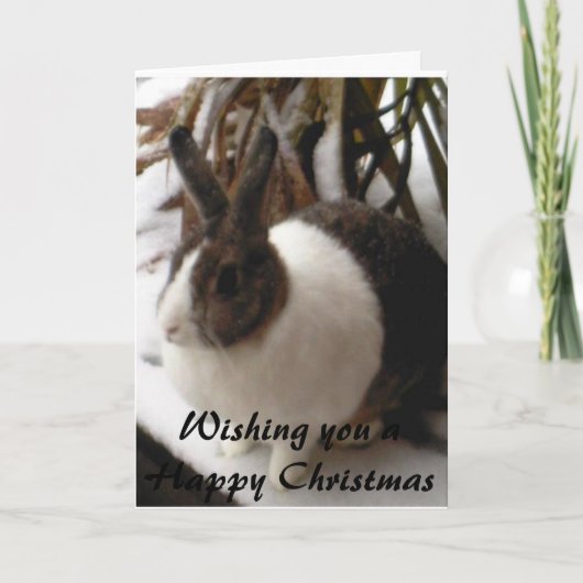 carte de noël de lapin (Devant)