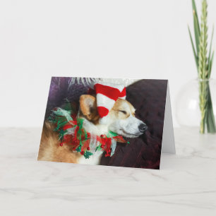 Carte de Noël de lutin corgi endormi