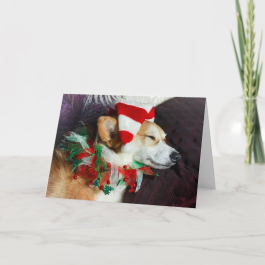 Carte de Noël de lutin corgi endormi (Devant)