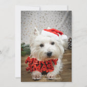 Carte de Noël de marionnette de chien mignonne (Devant)