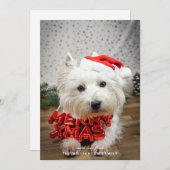 Carte de Noël de marionnette de chien mignonne (Devant / Derrière)