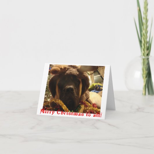 Carte de Noël de mastiff (Devant)