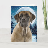 Carte de Noël de mastiff (Devant)