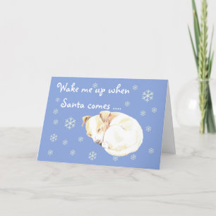 Carte de Noël de Noël bleu mignonne chaise neigeus