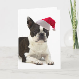 Carte de Noël de Père Noël Boston Terrier