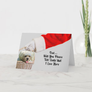 Carte de Noël de Pet Dog & Père Noël