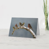 Carte de Noël de pinsons (Devant)