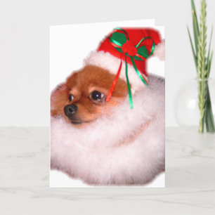 Carte de Noël de Pomeranian Père Noël