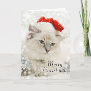Carte de noël de Ragdoll