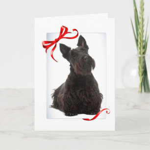 Carte de Noël de Scottie