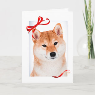Carte de Noël de Shiba Inu