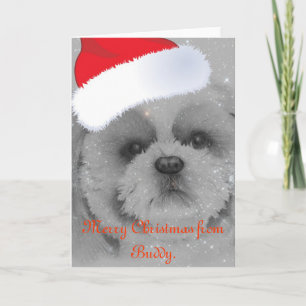 Carte de Noël de Shih Tzu