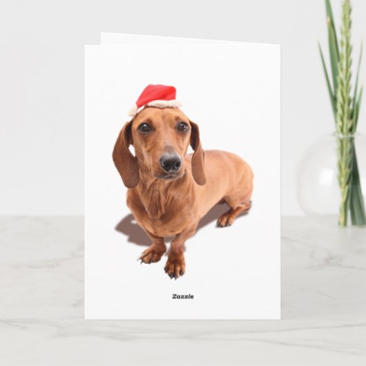 Carte de Noël de teckel (Dos)