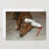 Carte de Noël de teckel - renne réticent (Devant / Derrière)