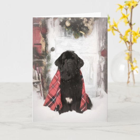 Carte de Noël de Terre-Neuve (Fleur jaune)