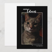 Carte de Noël de vacances avec photo de chat joyeu (Devant / Derrière)