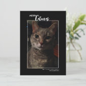 Carte de Noël de vacances avec photo de chat joyeu (Debout devant)