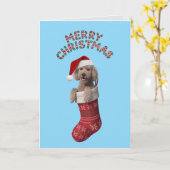 Carte de Noël de vacances de Caniche Mignon (Fleur jaune)