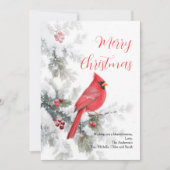 Carte de Noël de vacances de Cardinal Rouge d'Hive (Devant)