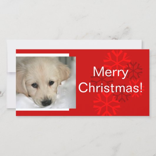 Carte de Noël de votre chien Photo Snowflake (Devant)