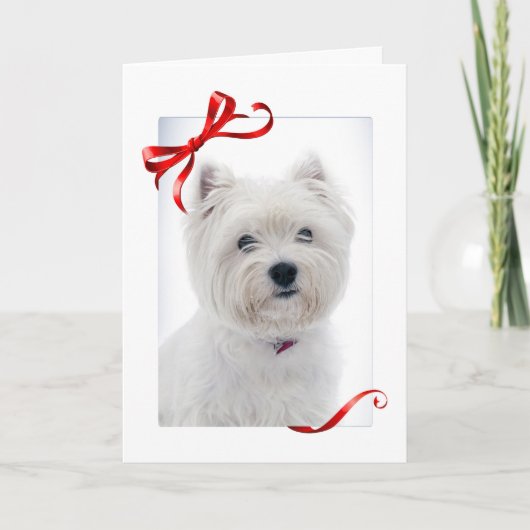 Carte de Noël de Westie (Devant)