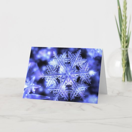 Carte de Noël de Winterborn (Devant)