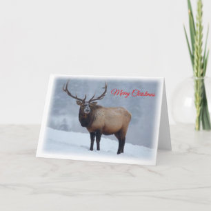 Carte de Noël d'élans