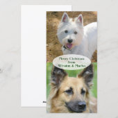 Carte de Noël des chiens (Devant / Derrière)