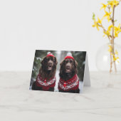 Carte de Noël des chiens de Terre-Neuve (Fleur jaune)