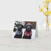 Carte de Noël des chiens noirs du Labrador (Fleur jaune)