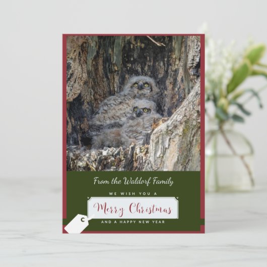 Carte de Noël des Chouettes à grande corne (Debout devant)