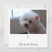 Carte de Noël des Étoiles Blanches (Dos)