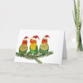 Carte de Noël des trois oiseaux d'or (Dos)