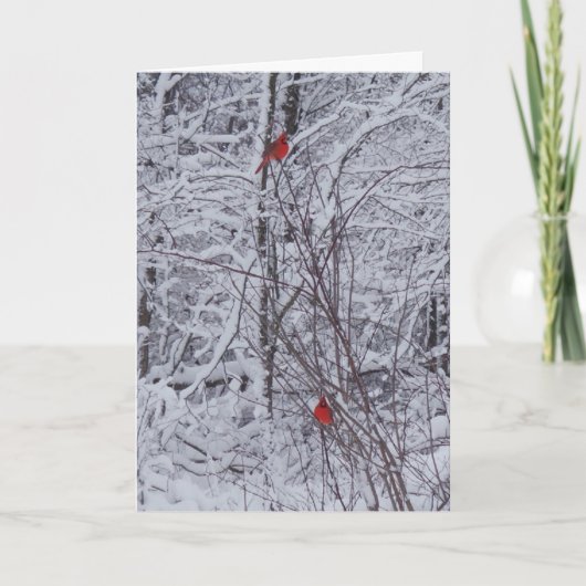 Carte de Noël Deux Cardinaux 7x5 (Devant)