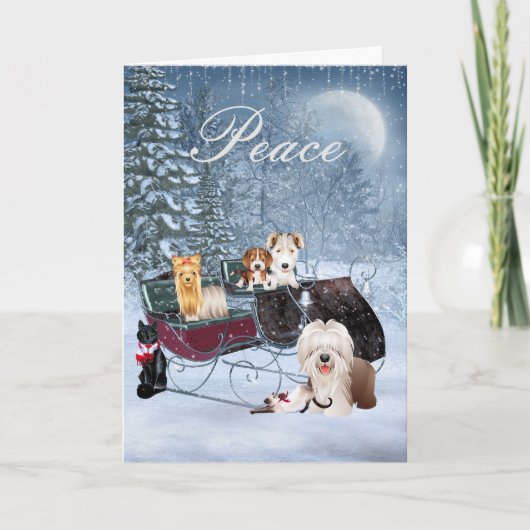 Carte de Noël d'hiver avec des chiens, chats, (Devant)