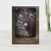 Carte de Noël "Donkey" (Devant)