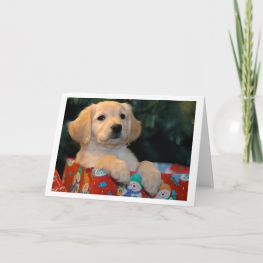 Carte de Noël d'or de cadeau de chiot (Devant)