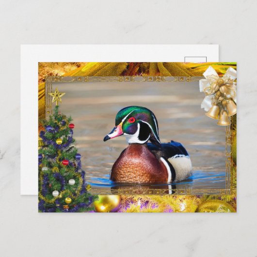 Carte de Noël Drake Duck Wood (Devant / Derrière)
