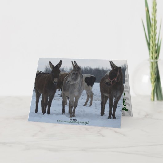 Carte de Noël drôle (Dos)