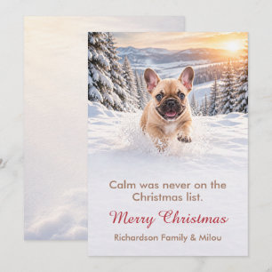 Carte de Noël drôle avec chien Famille de chiots