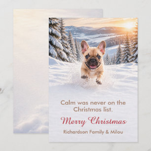 Carte de Noël drôle avec chien Famille de chiots
