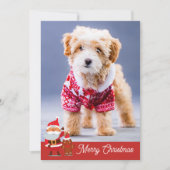 Carte de Noël drôle et joyeuse de chien mignon (Devant)