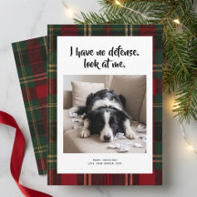 Carte de Noël drôle et mignonne avec photo de chie